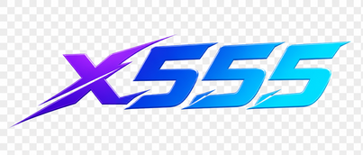 x555